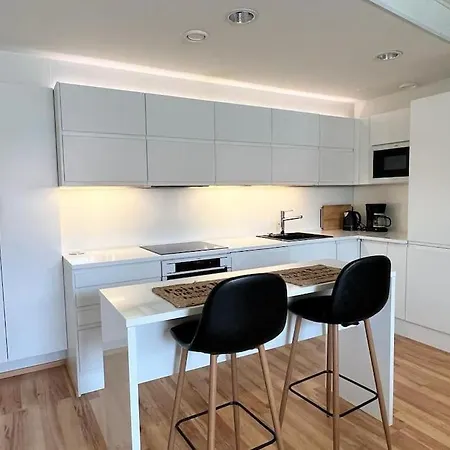 Spacious And Stylish Penthouse In Downtown