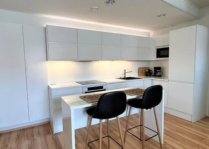 Spacious And Stylish Penthouse In Downtown